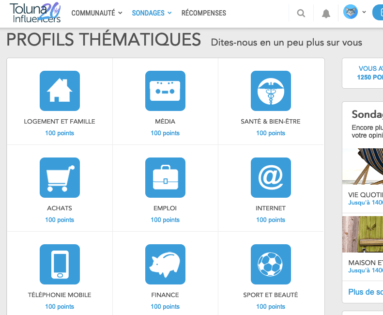 Toluna profils thématiques